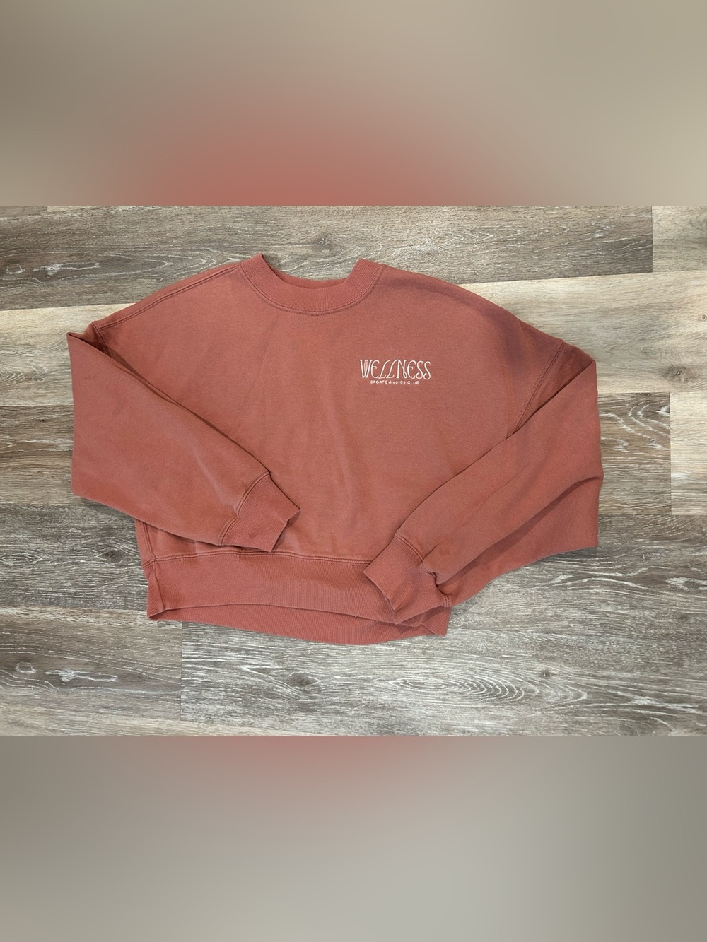 Abercrombie & Fitch Rust Cropped Crewneck Sweatshirt